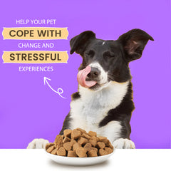 Pet Vitamins for Gastrointestinal Health Chews for Dogs