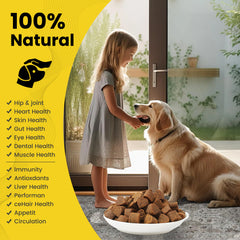 Pet 14-in-1 Multivitamin 120 Soft Chews for Dogs