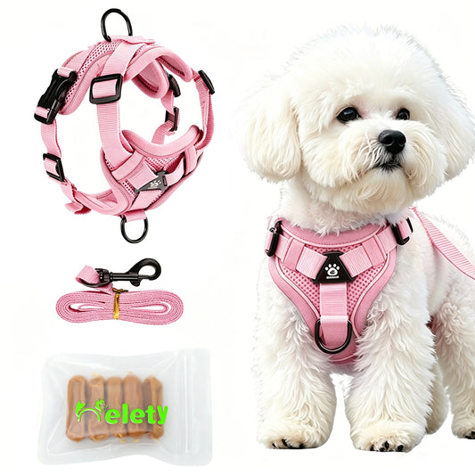 HELETY Dog Walking Gift Set – No Pull Harness + Matching Leash + Dog Treats