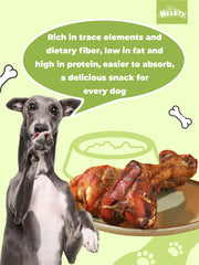 HELETY 1PCS Beef Bone Chews for Dogs, Long Lasting Chew Treats, Dental Health for Medium & Large Dogs