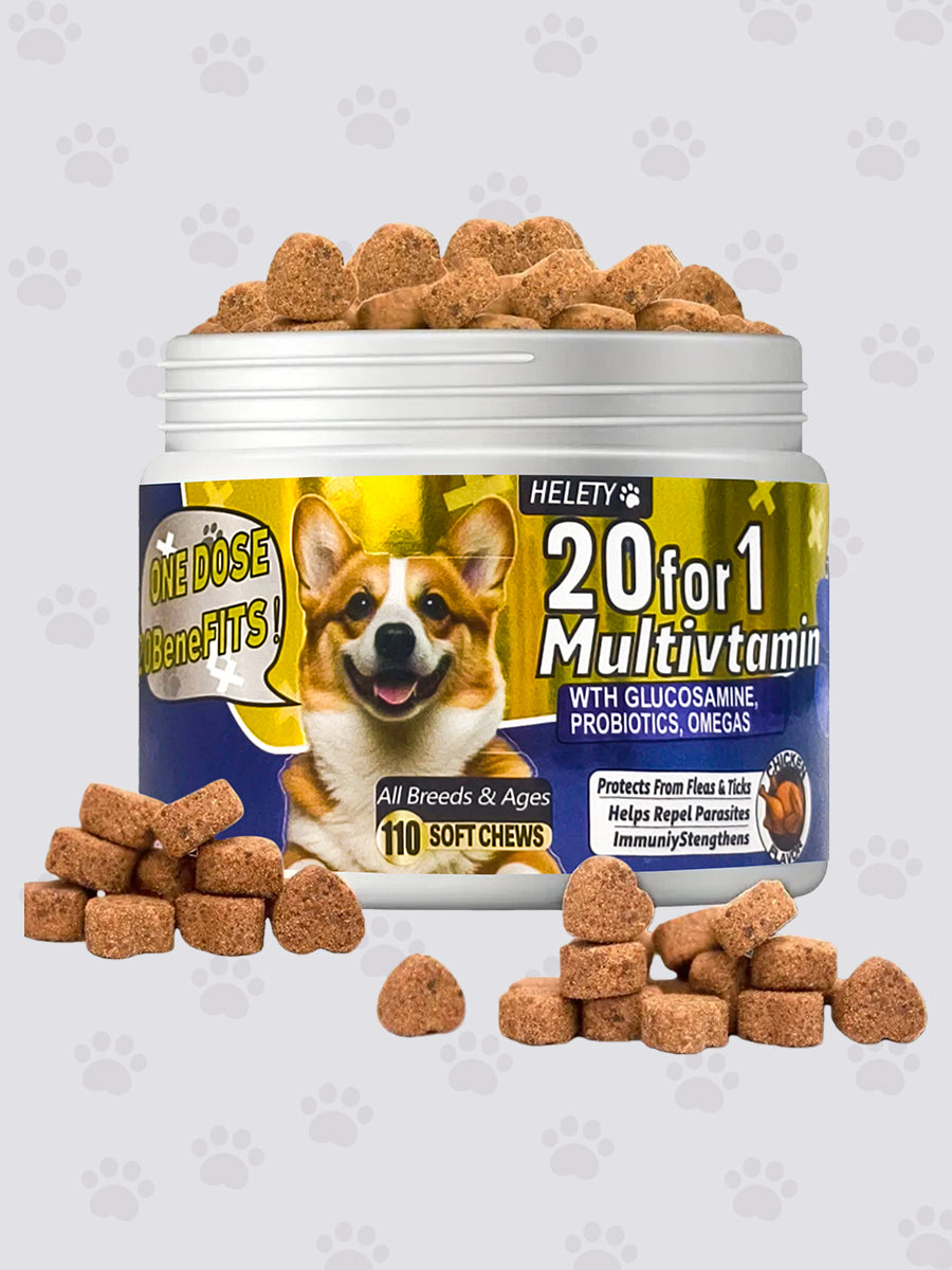 Helety 20 for 1 Dog Multivitamin with Box, Probiotics & Digestive Enzymes for Gut Health, Glucosamine & Chondroitin &Omega 3, Complete Supplement for Homemade Dog Food,Joint & Skin & Immune Support