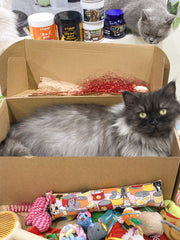 🎁 Surprise Box – Treats + Toys Blind Box for Cats