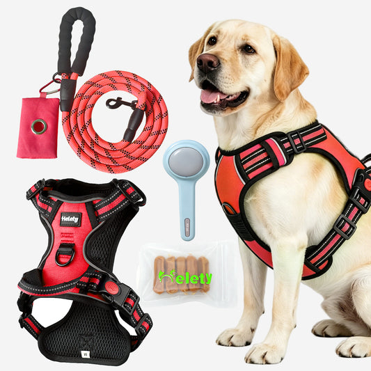 HELETY Dog Walking Gift Set – No Pull Harness + Leash + Grooming Brush + Dog Treats