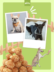 HELETY Dog Training Treats, Natural Chicken Flavor Rewards, Grain Free Treats for Small & Large Dogs