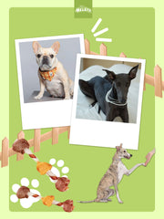 HELETY Dog Meat Treats, Three Flavor Meat Skewers, Chicken Beef Duck Flavor, Natural Chewy Rewards for Dogs