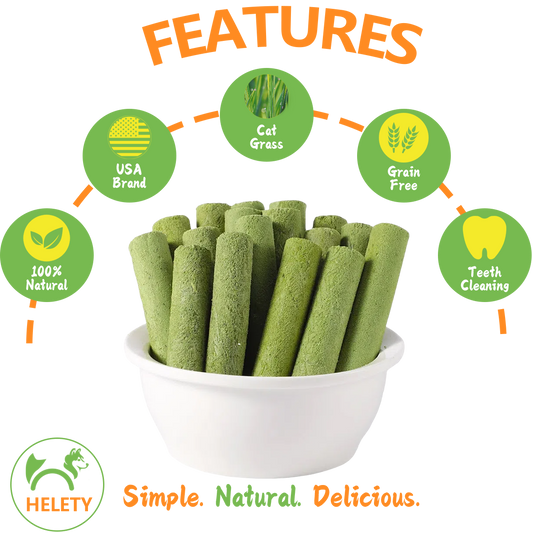 Cat Snacks Cat Grass Sticks