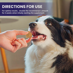 Pet Vitamins for Joint Protection Chews for Dogs