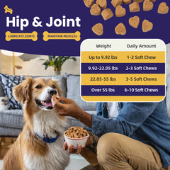 Pet Vitamins for Joint Protection Chews for Dogs
