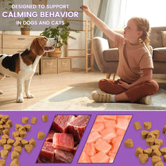 Pet Vitamins for Gastrointestinal Health Chews for Dogs