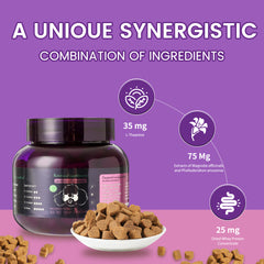 Pet Vitamins for Gastrointestinal Health Chews for Dogs