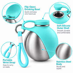Stainless Steel Kettle Blue