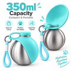 Stainless Steel Kettle Blue