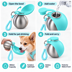 Stainless Steel Kettle Blue