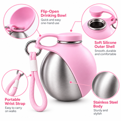 Stainless Steel Kettle Pink
