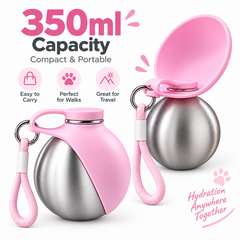 Stainless Steel Kettle Pink