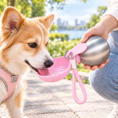 Stainless Steel Kettle Pink