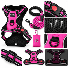 3-in-1 Pink Dog Harness Set