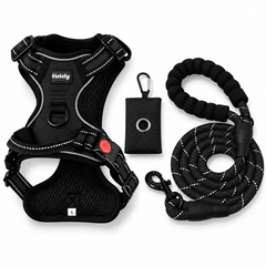 3-in-1 Black Dog Harness Set