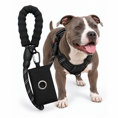 3-in-1 Black Dog Harness Set