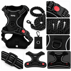 3-in-1 Black Dog Harness Set