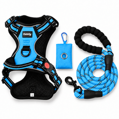 3-in-1 Blue Dog Harness Set