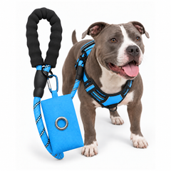 3-in-1 Blue Dog Harness Set