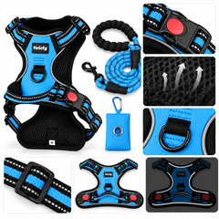 3-in-1 Blue Dog Harness Set