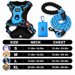3-in-1 Blue Dog Harness Set