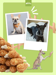 HELETY Dog Treats, Grain Free Chicken Flavor, Soft Chewy Training Snacks for Puppies & Adult Dogs