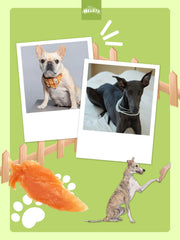 HELETY Grain Free Chewy Dog Treats Wholesome, Natural Chicken Training Treats, Healthy Chicken Jerky, Chew Enjoyment Snacks for Puppies & Adult Dogs