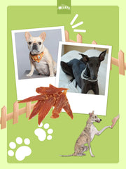 HELETY Dog Training Treats, Low Calorie Soft Chews, Natural Duck Flavor, Rewards for Small & Large Dogs Adult Dogs