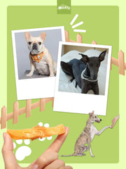 HELETY Grain Free Dog Treats, Natural Chicken Training Treats, Chicken and Sweet Potato, Soft & Chewy Snacks for Puppies & Adult Dogs