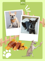 HELETY Dog Training Treats, Low Calorie Soft Chews, Natural Duck Flavor, Duck and Sweet Potato, Rewards for Small & Large Dogs