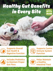Helety Dog Vitamin Hip & Joint Glucosamine