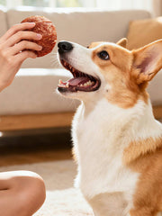 Helety Dog Treats with Egg Yolk, Chicken Duck Flavored Meat Balls, High Protein Dog Snacks, All Life Stages Dog Treats