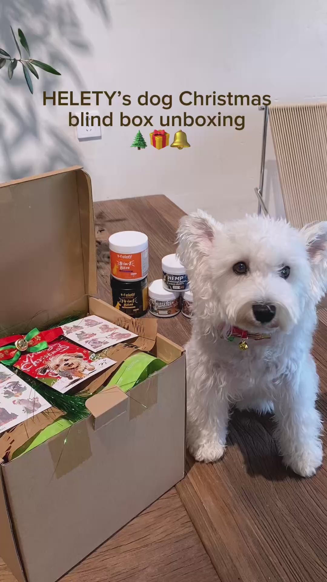 🎁 Surprise Box – Treats + Toys Blind Box for Cats