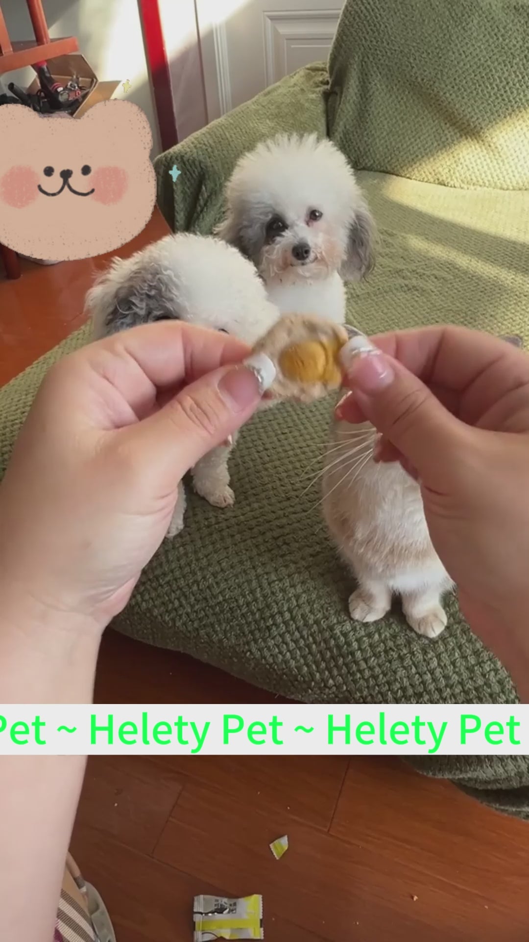 Helety Dog Treats Cat Treats Egg Fried Treats, Meal Topper & Training Snacks for Pets, Natural High Protein Treats for Dogs and Cats